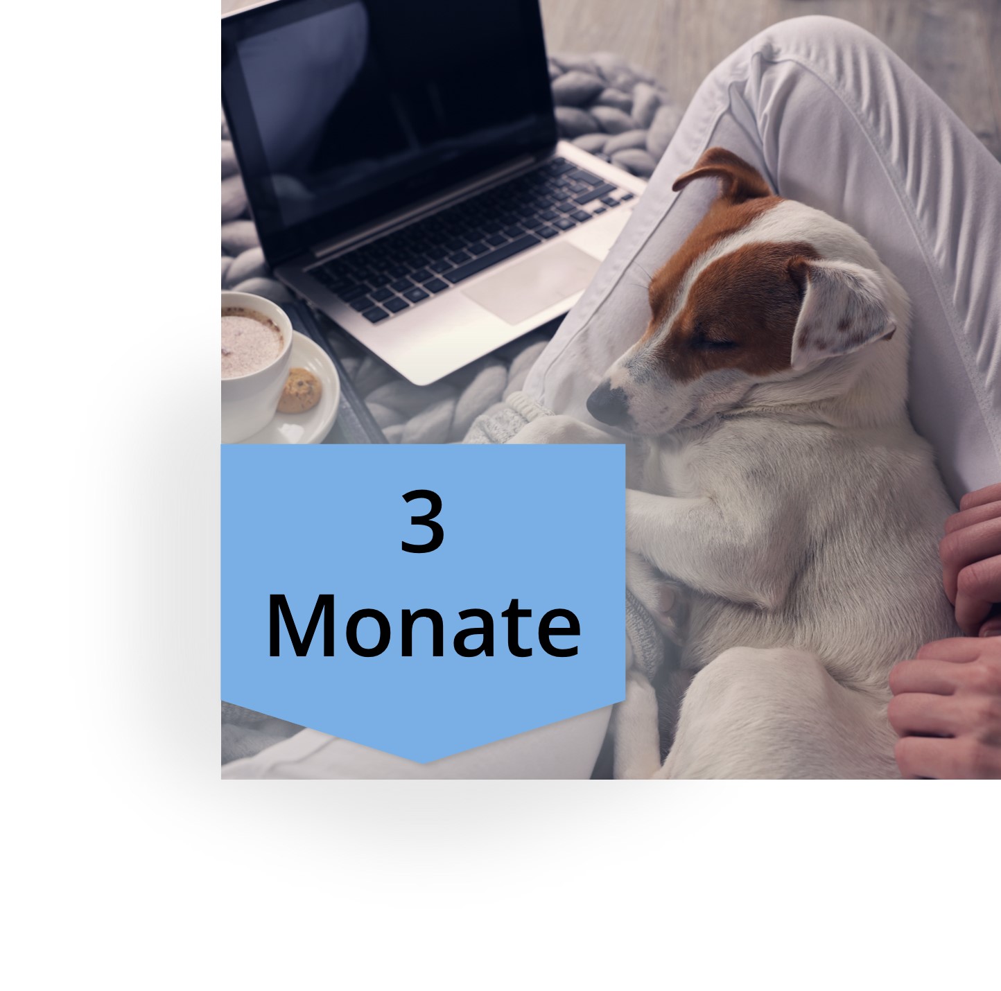 Kurs-Zugriffszeit Verlängerung 3 Monate