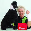Die Hausapotheke eines Hundefriseurs für Mensch & Hund